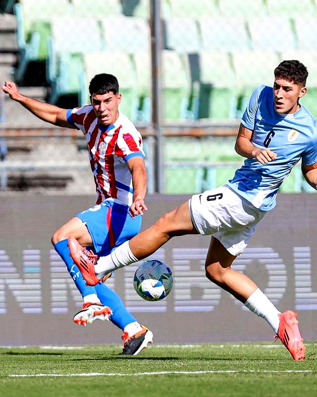 关于南美洲比赛场面火爆,球员拼搏拼经验的信息 关于南美洲比赛场面火爆,球员拼搏拼经验的信息