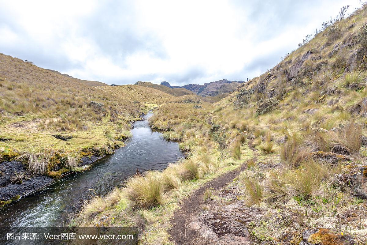 厄瓜多尔赛场：昆卡瑙迪获得比赛胜利，晋级之路