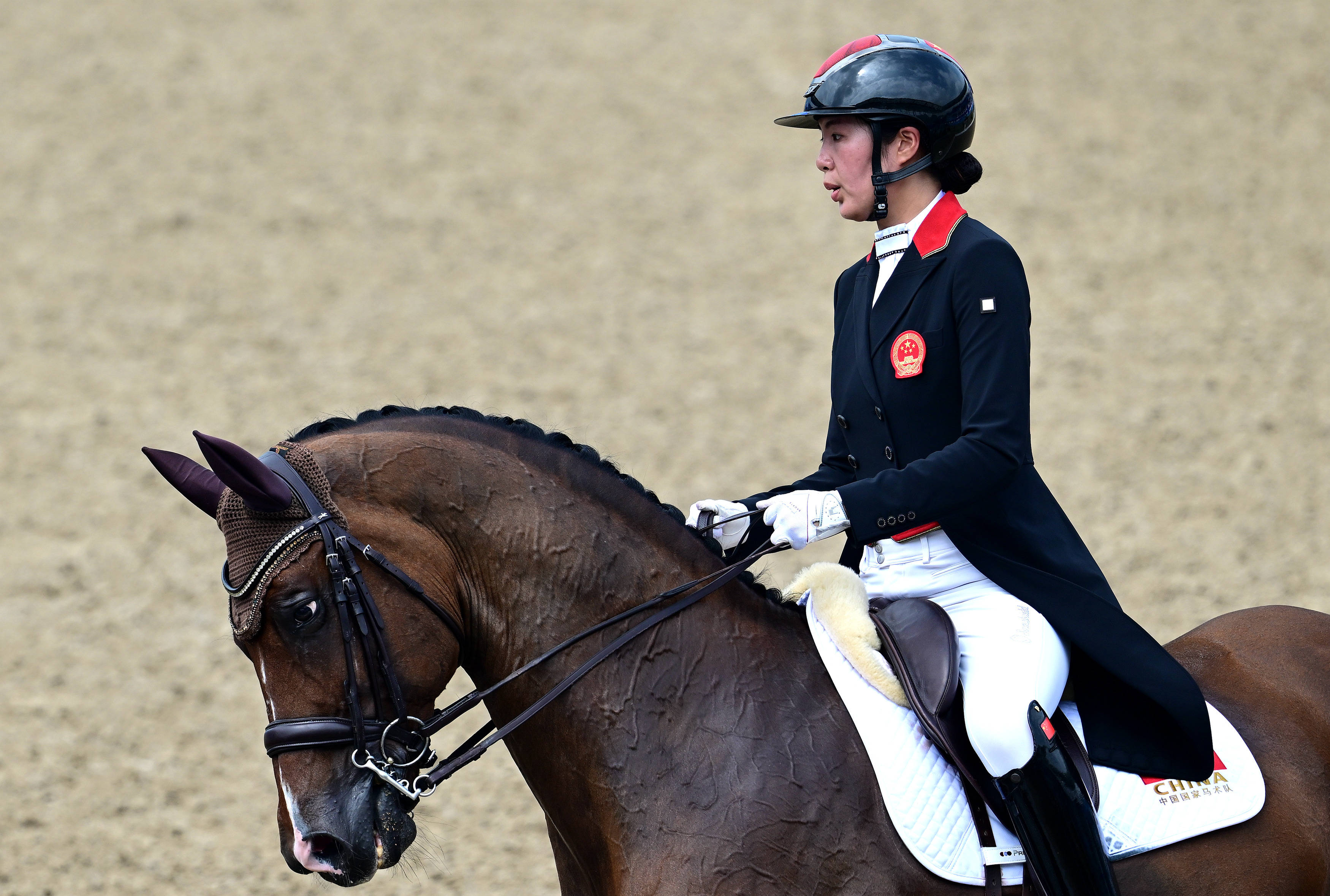 关于阿联酋马术选手表现出色取得头名的信息 关于阿联酋马术选手表现出色取得头名的信息