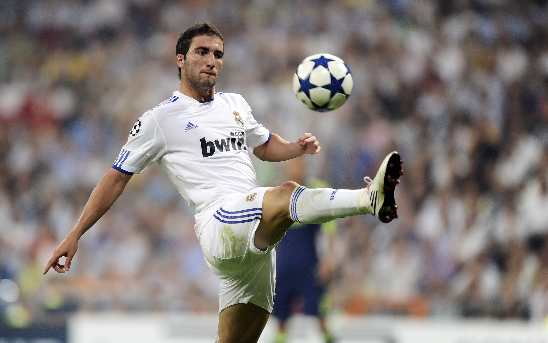 战火边缘的绿茵场，当安哥拉宿命对决莱比锡红牛，加克波如何成为硬仗天平的最后砝码？