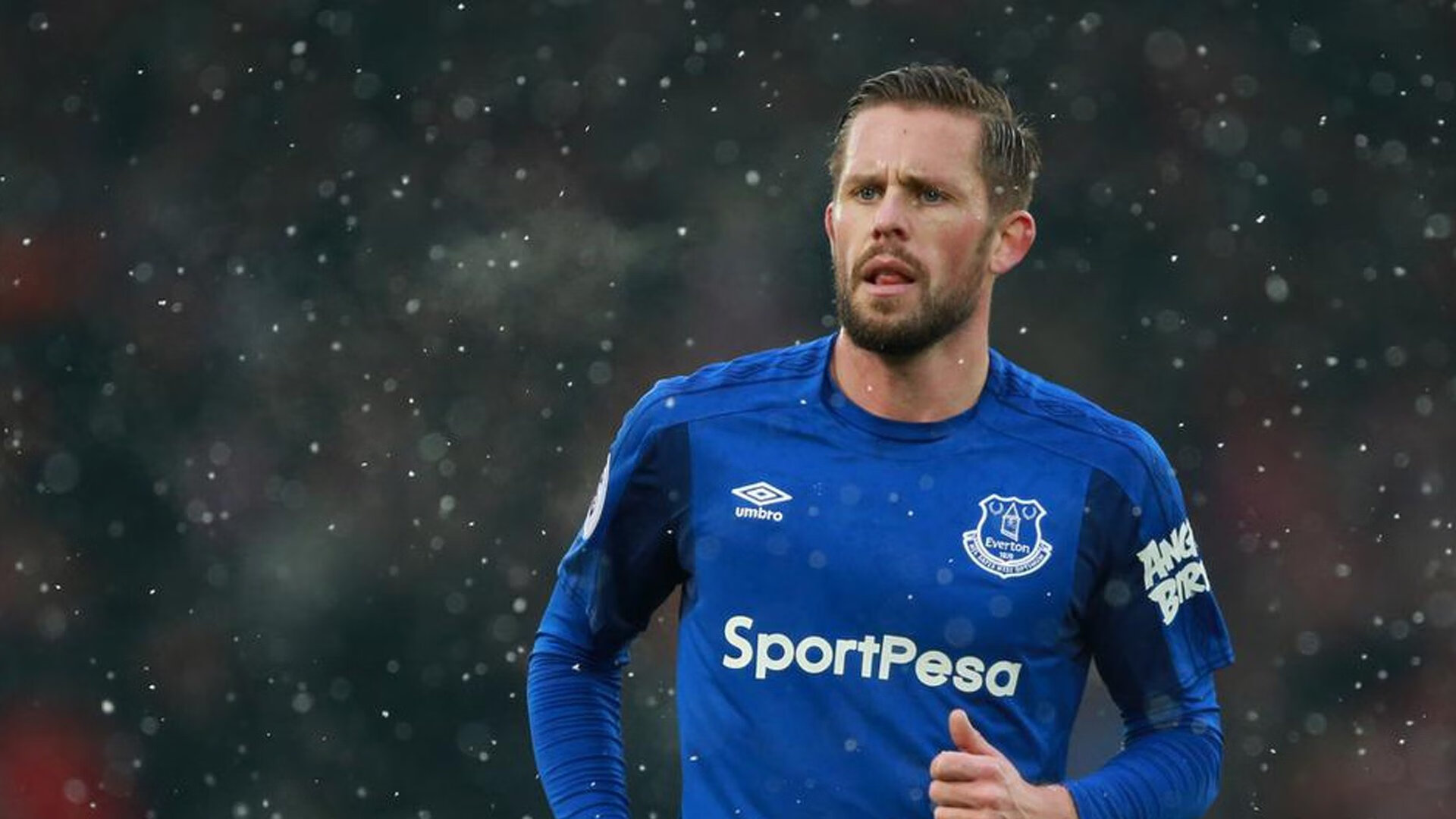 黑马狂飙与王朝裂痕，威廉姆斯奇迹夜，诺里斯重写历史